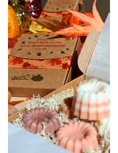 Fondant cosy d'automne 2