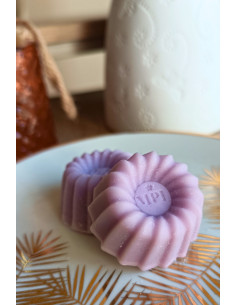 Galet de cire parfumée sous le figuier 2