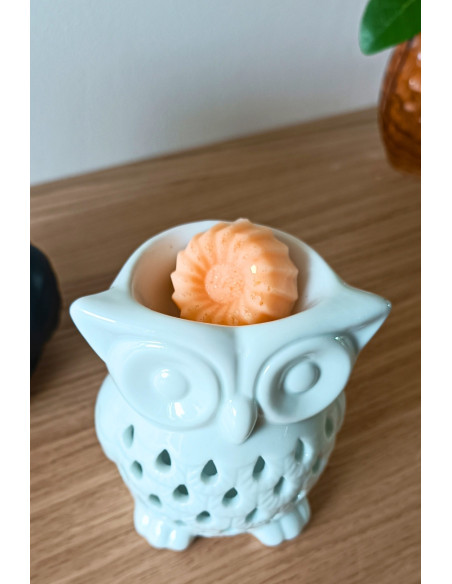 Brûle parfum Chouette en porcelaine et céramique.