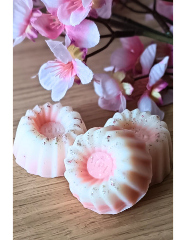 Galet de cire parfumée Printemps Parisien