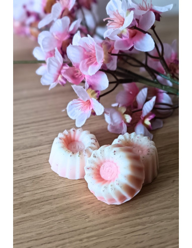 Galet de cire parfumée Printemps Parisien