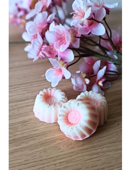 Galet de cire parfumée Printemps Parisien