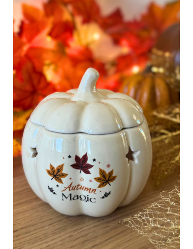 Brûle parfum citrouille pour fondant parfumé