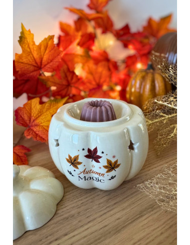 Brûle parfum citrouille pour fondant parfumé