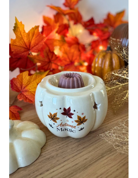 Brûle parfum citrouille pour fondant parfumé
