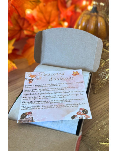 Boîte fondants parfumés d'automne - Edition limitée